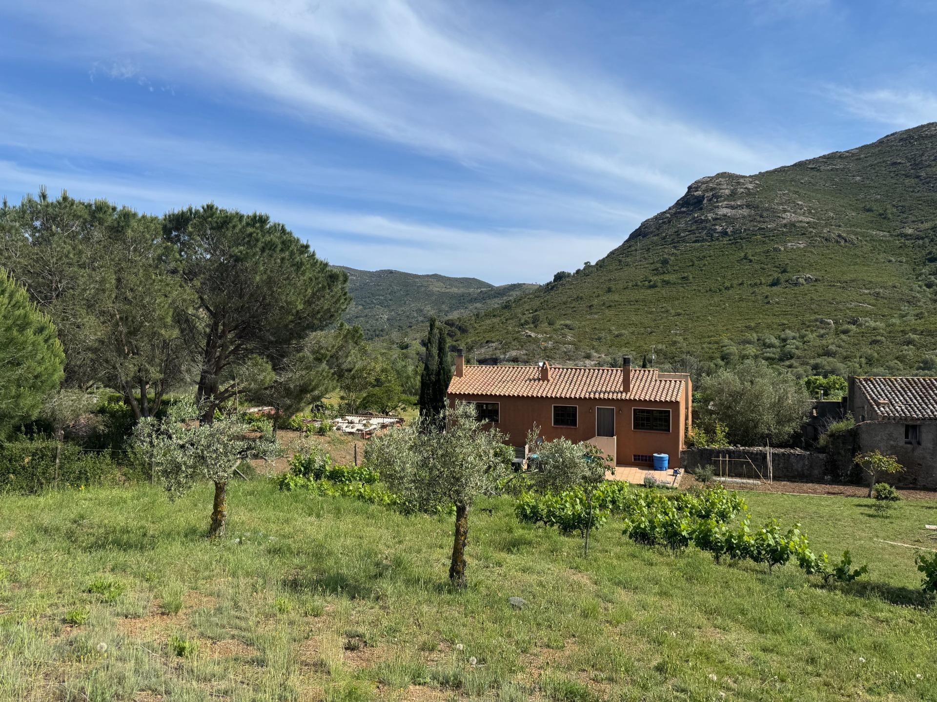 CASA EN LA IDÍLICA URBANIZACIÓN LA VALLETA - foto 2