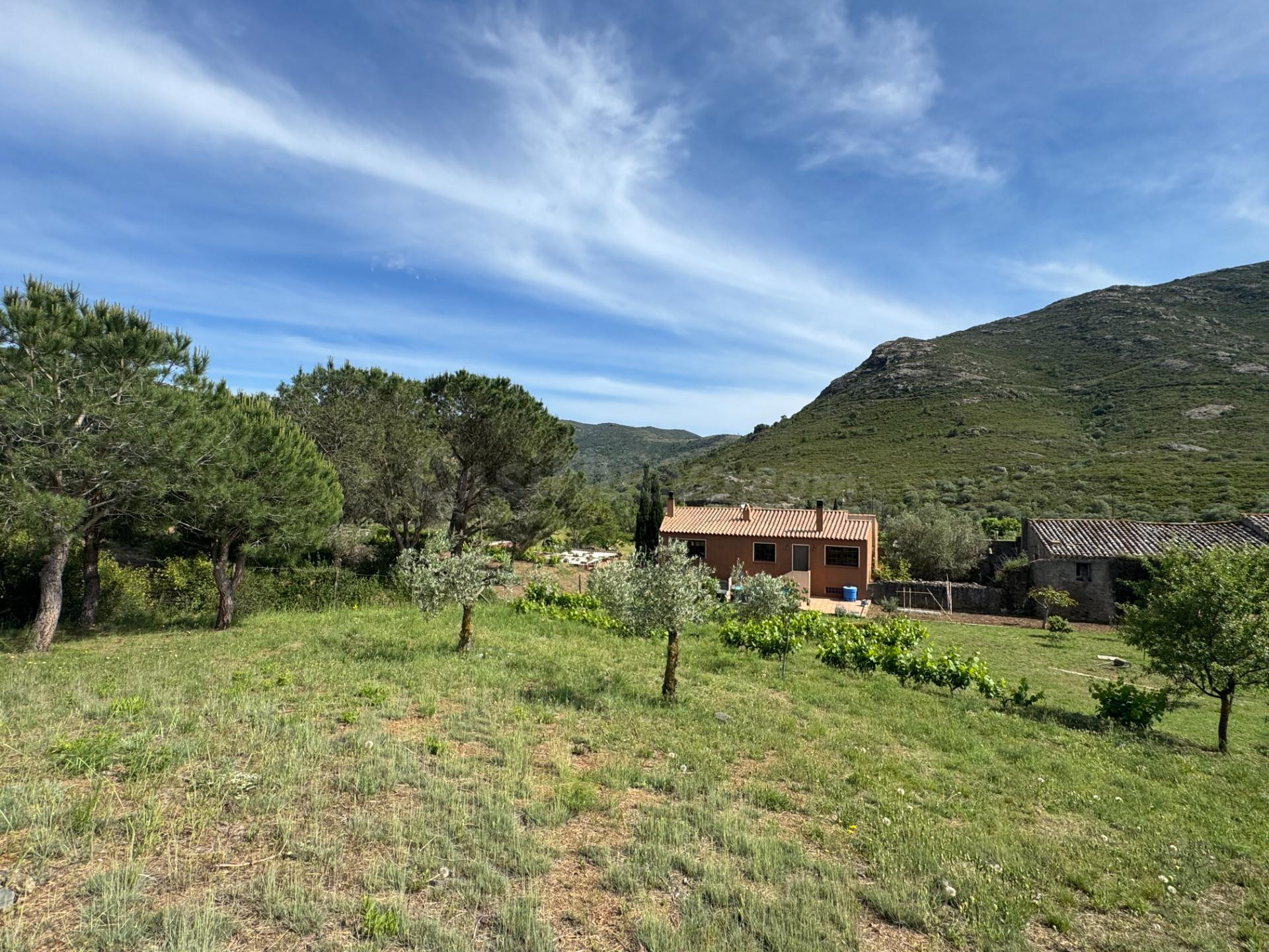CASA EN LA IDÍLICA URBANIZACIÓN LA VALLETA - foto 3