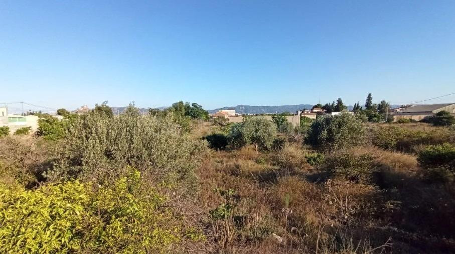 Casa de huerta en Cabezo de Torres para reformar - foto 5