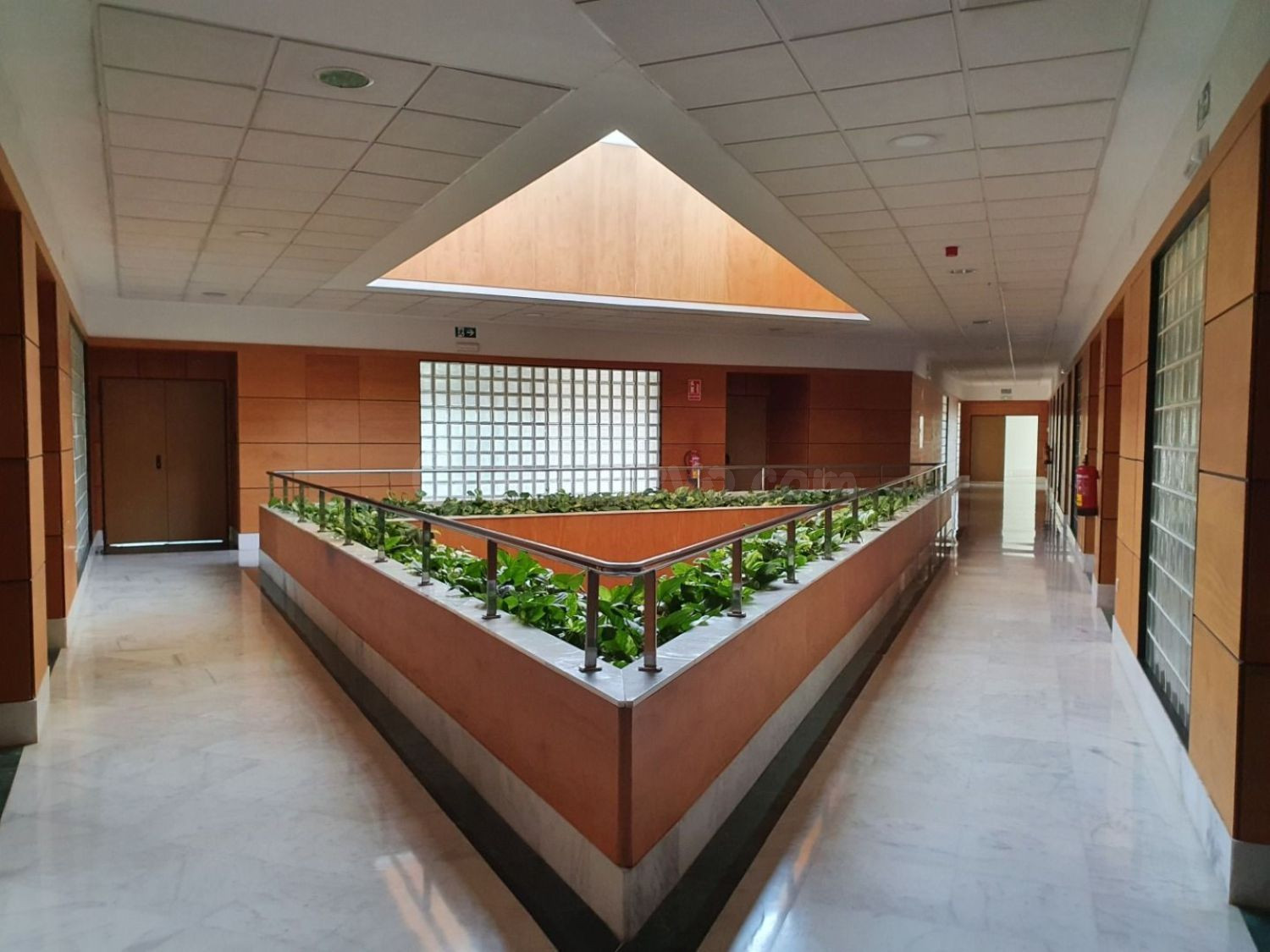 Oficina 188m² en alquiler - Avenida de las Ciencias - foto 3