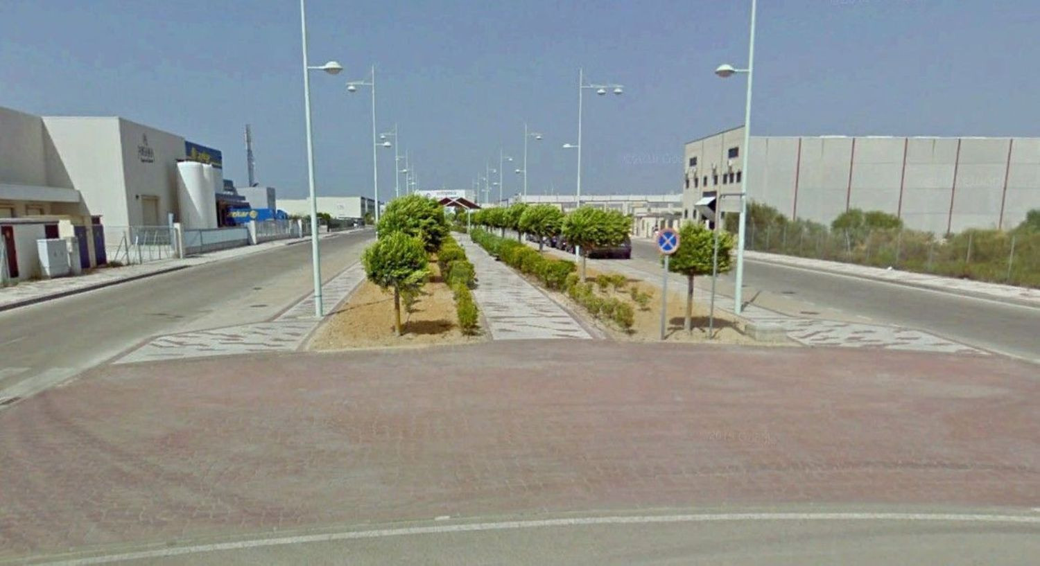Terreno rural 8000m² en venta - POLIGONO EL PALMAR - foto 4