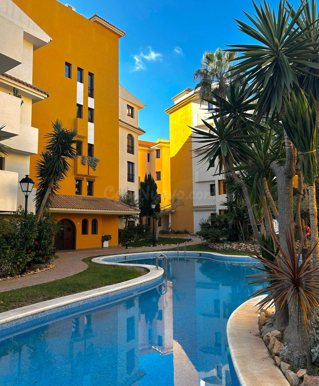 Apartamento 2 habitaciones 156m² en venta - Punta Prima - foto 2