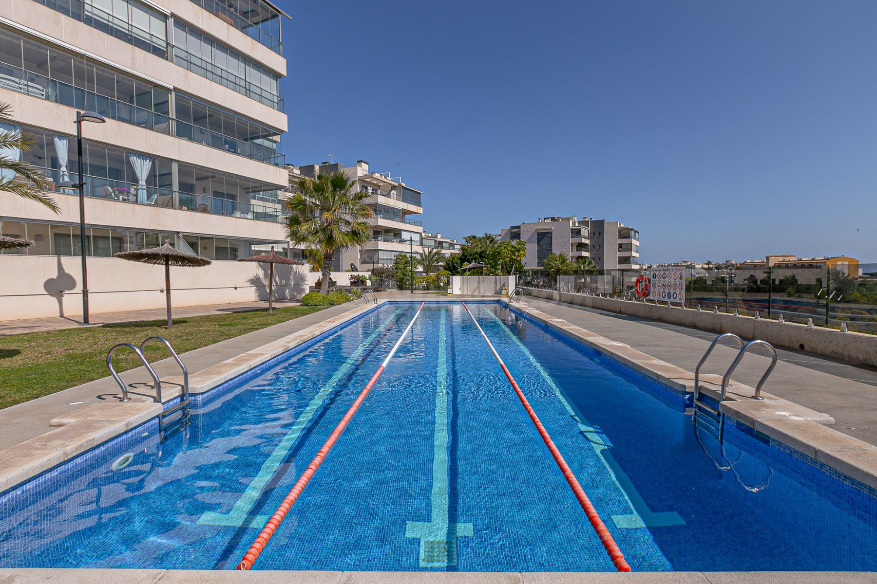 ✨Apartamento de 3 dormitorios 2 baños ( lomas de Cabo Roig ) - foto 2