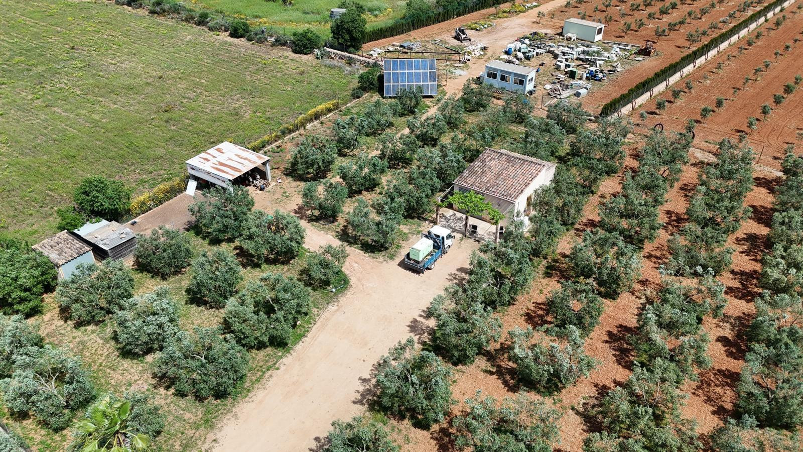 FINCA RÚSTICA EDIFICABLE EN LLUCMAJOR  (SON PIERES) - foto 3