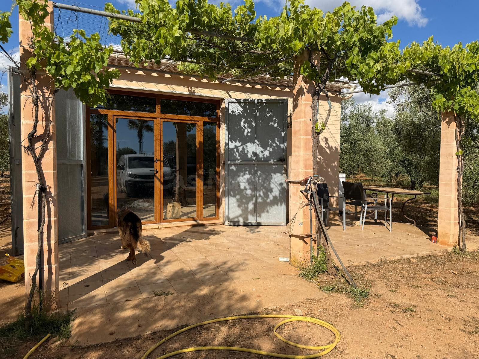 FINCA RÚSTICA EDIFICABLE EN LLUCMAJOR  (SON PIERES) - foto 4
