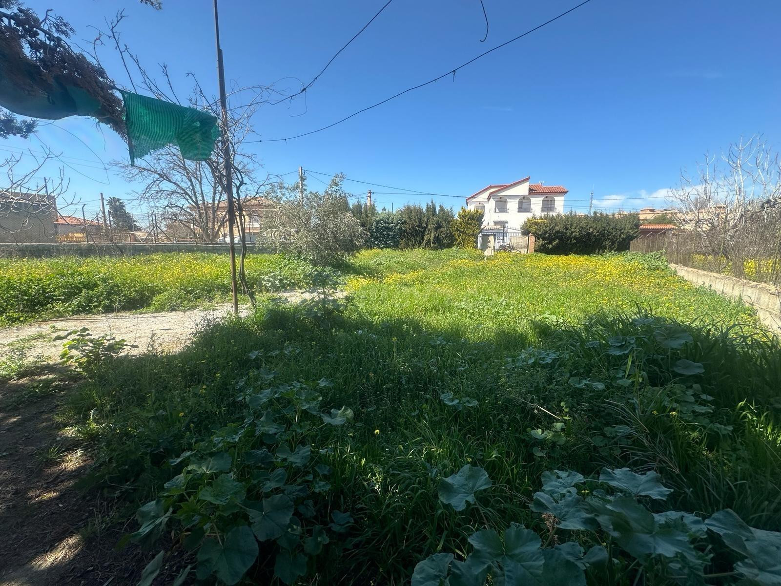 Terreno urbanizable en Ogijares - foto 2