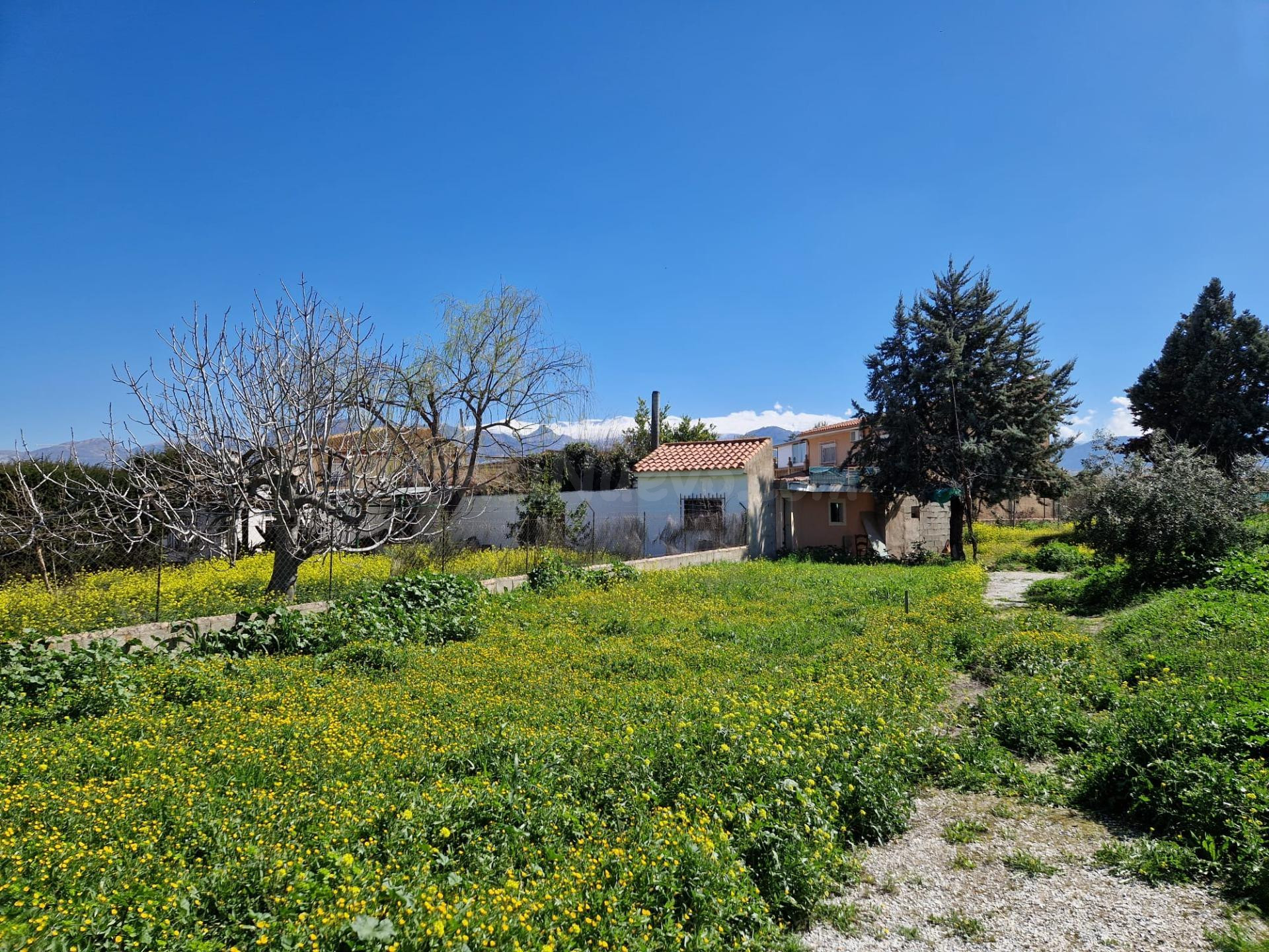 Terreno urbanizable en Ogijares - foto 3