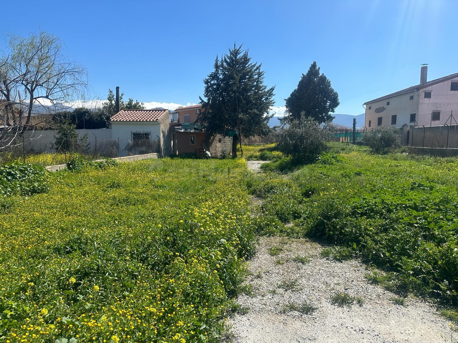 Terreno urbanizable en Ogijares - foto 4