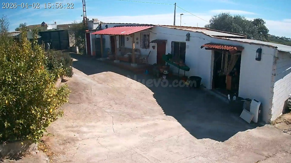 Casa de campo-Masía en Venta en Pinedas, Las Córdoba - foto 3