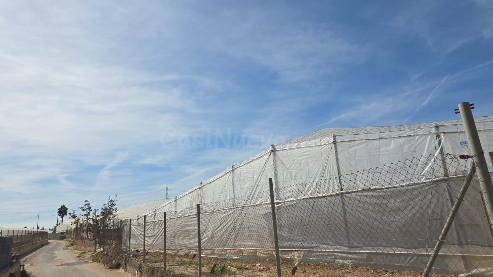 Finca rústica en venta - Zona Pueblo - foto 4