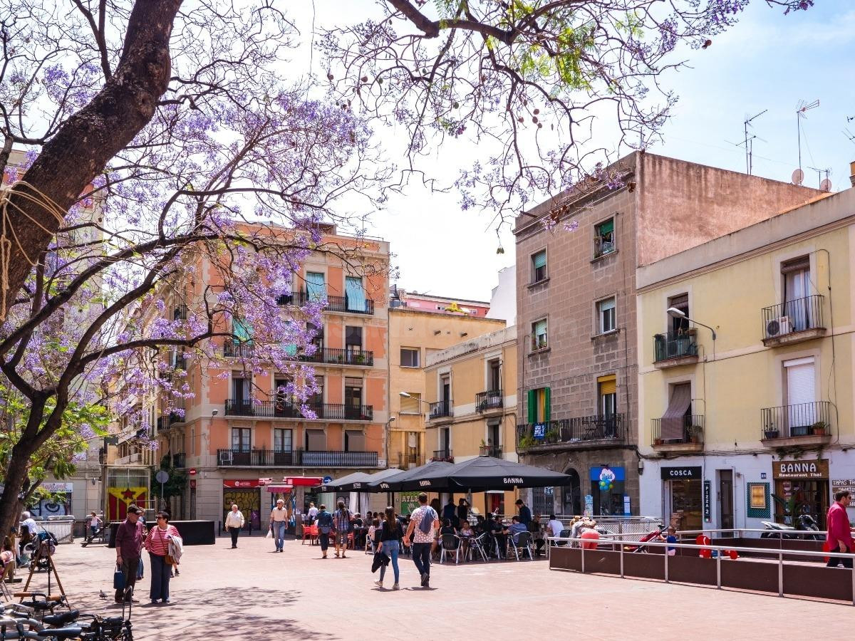 Planta baja para reformar en Gracia - foto 2