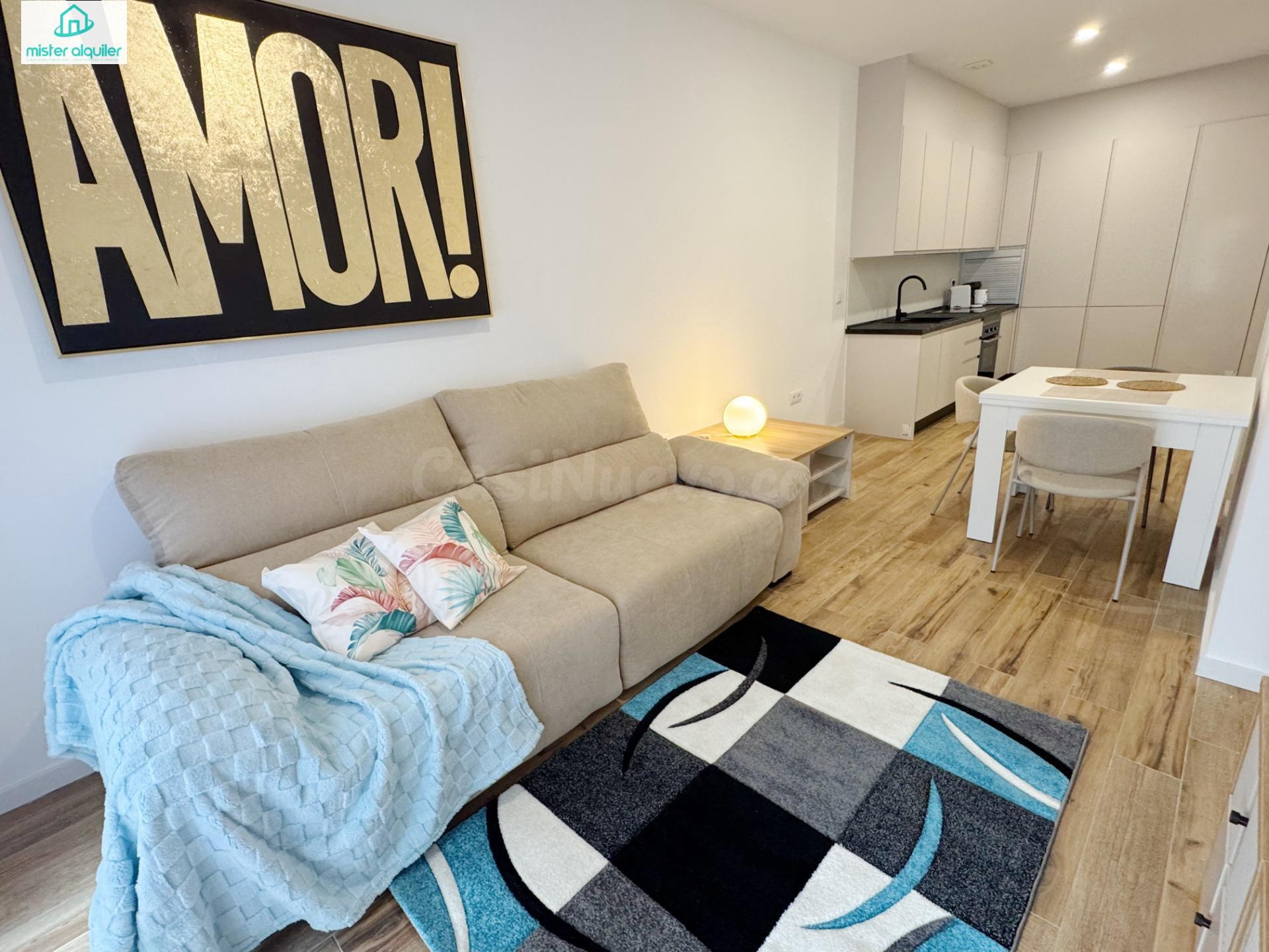 Planta baja 2 habitaciones 60m² en alquiler - Junto a la Universidad de Alicante