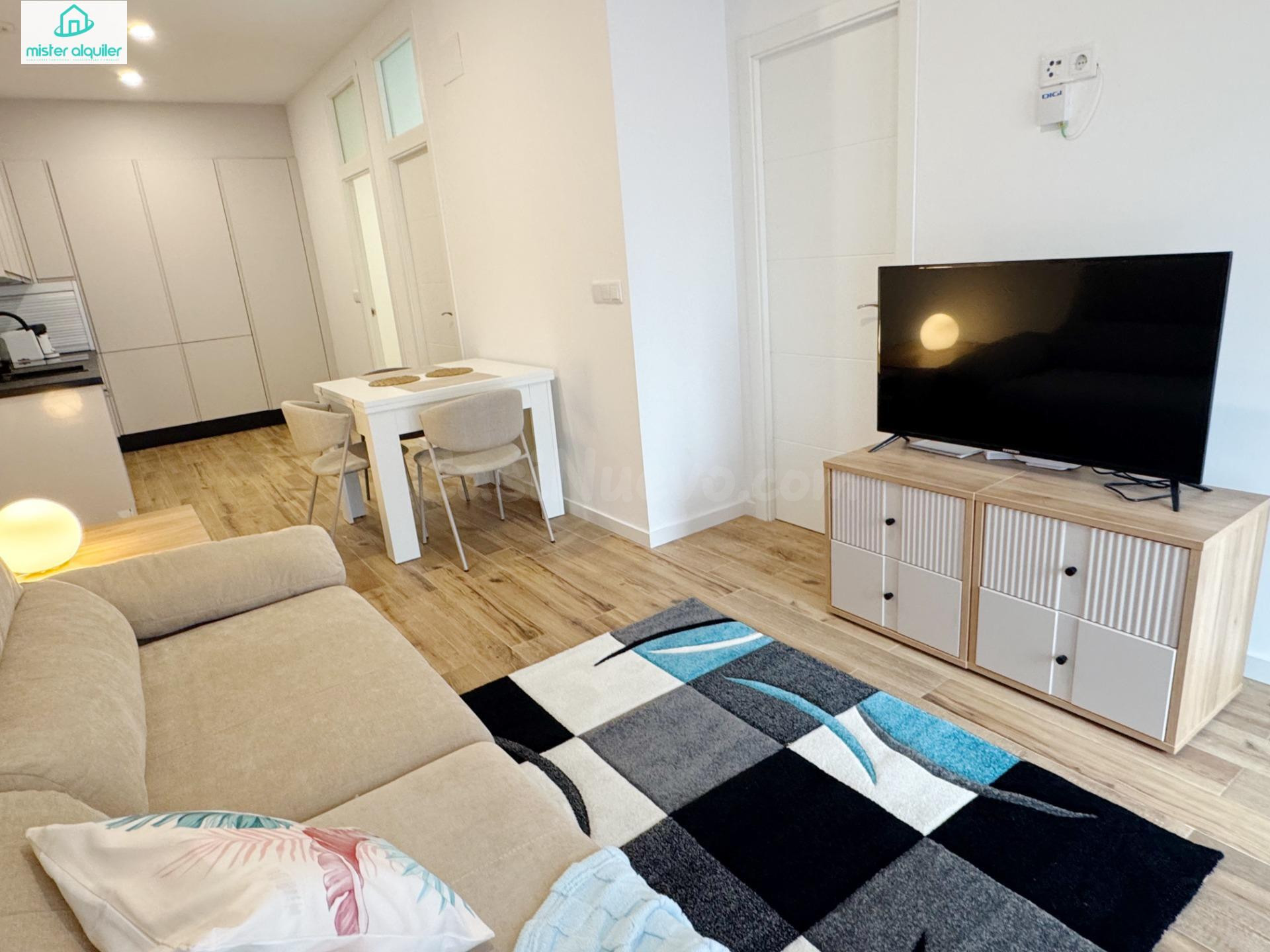 Planta baja 2 habitaciones 60m² en alquiler - Junto a la Universidad de Alicante - foto 2