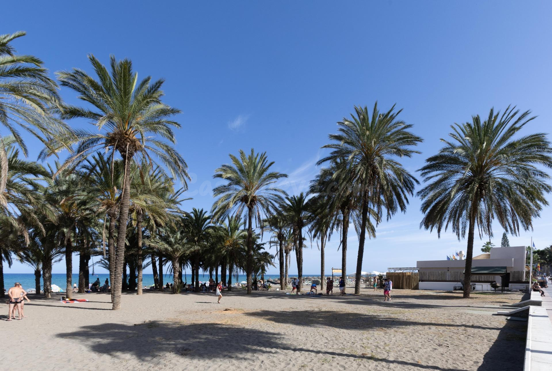Venta Local Comercial en Primera Línea de Playa | Paseo Marí