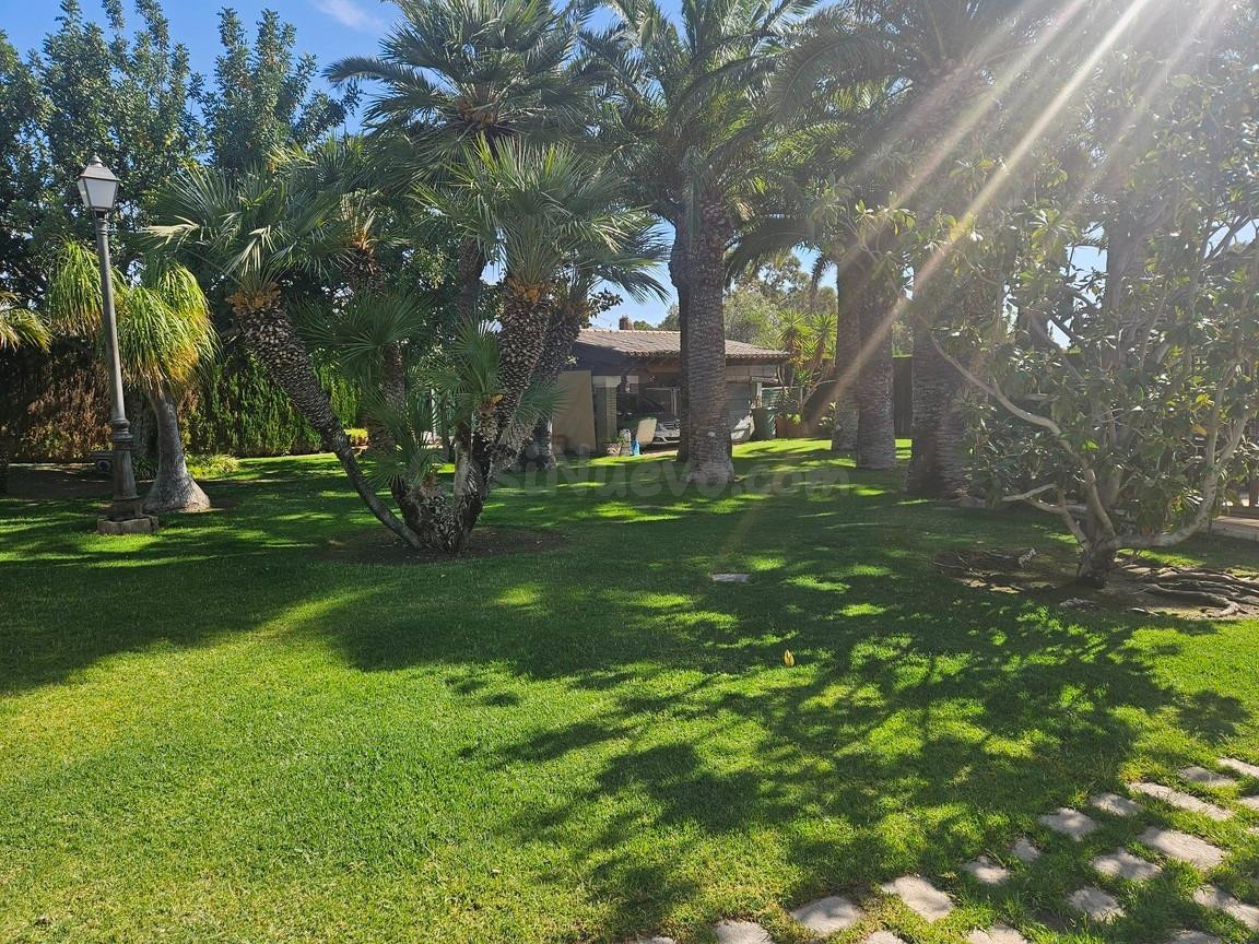 Villa de Lujo en Novelda - foto 4