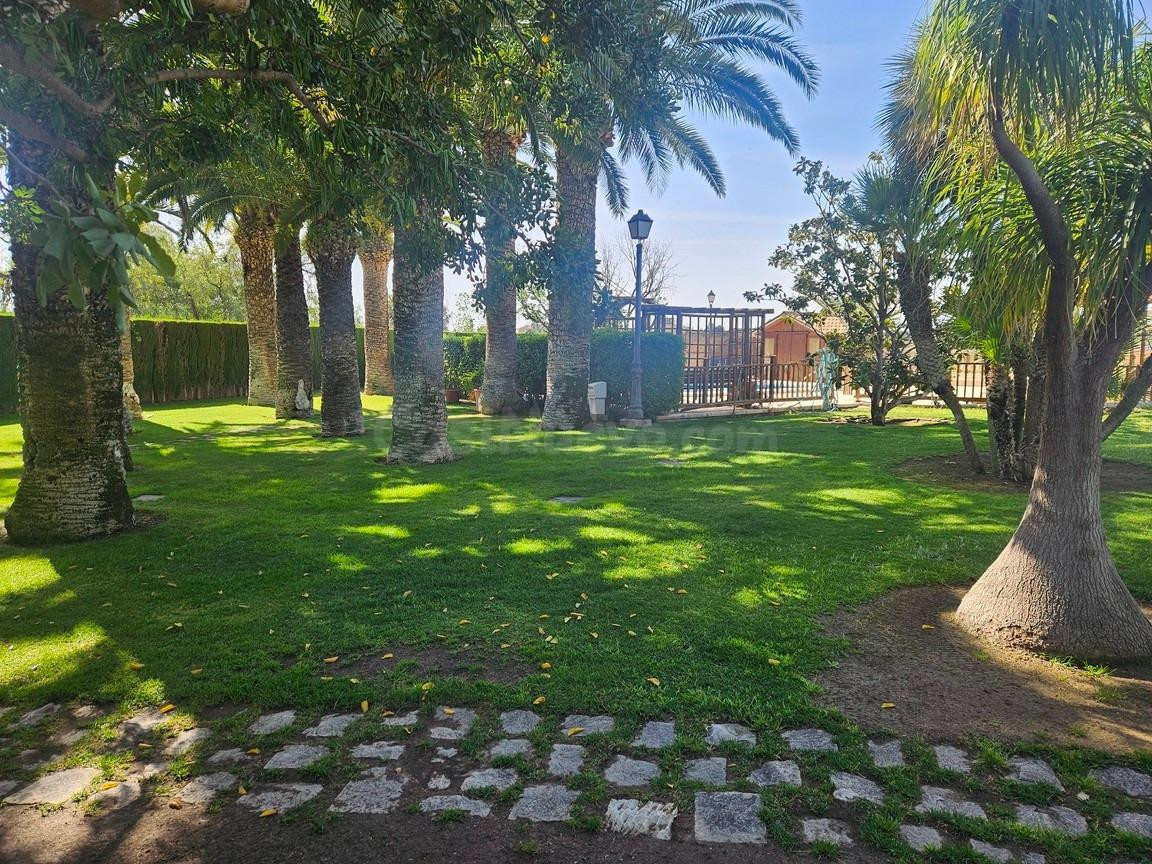 Villa de Lujo en Novelda - foto 5