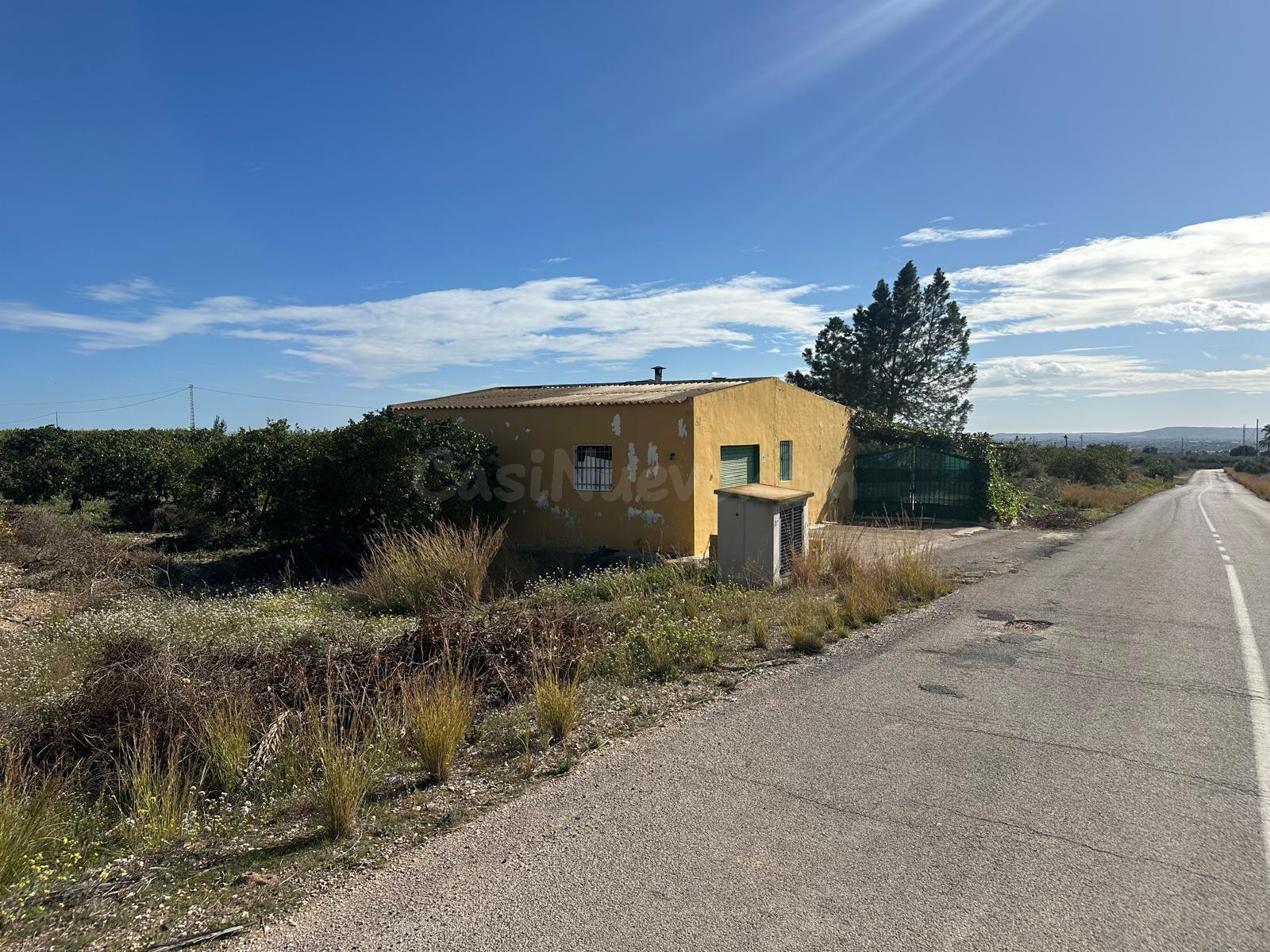 Finca con Casa y Potencial de Producción en Albatera - foto 2