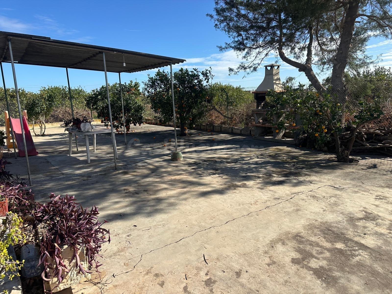 Finca con Casa y Potencial de Producción en Albatera - foto 3