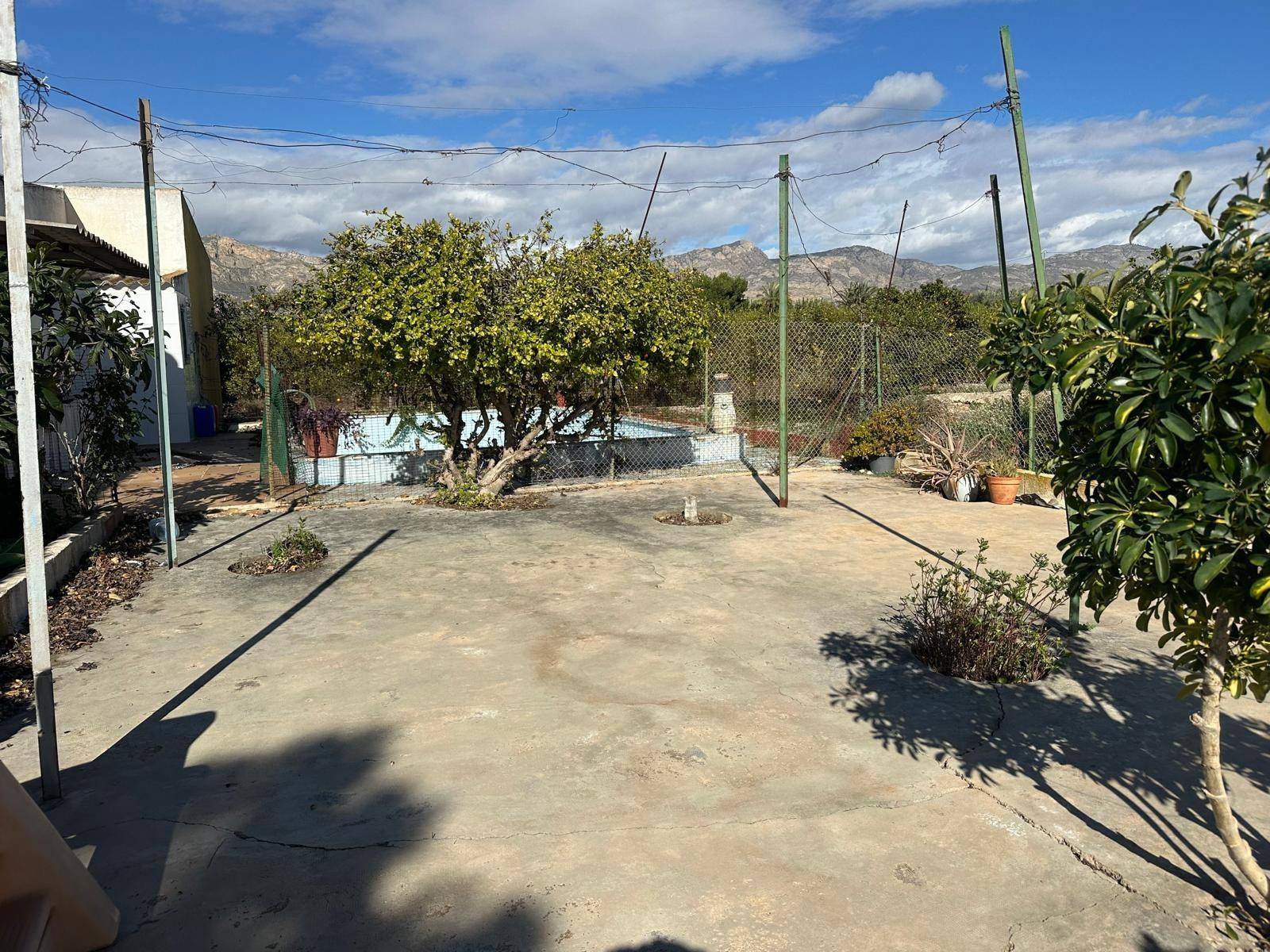 Finca con Casa y Potencial de Producción en Albatera - foto 5