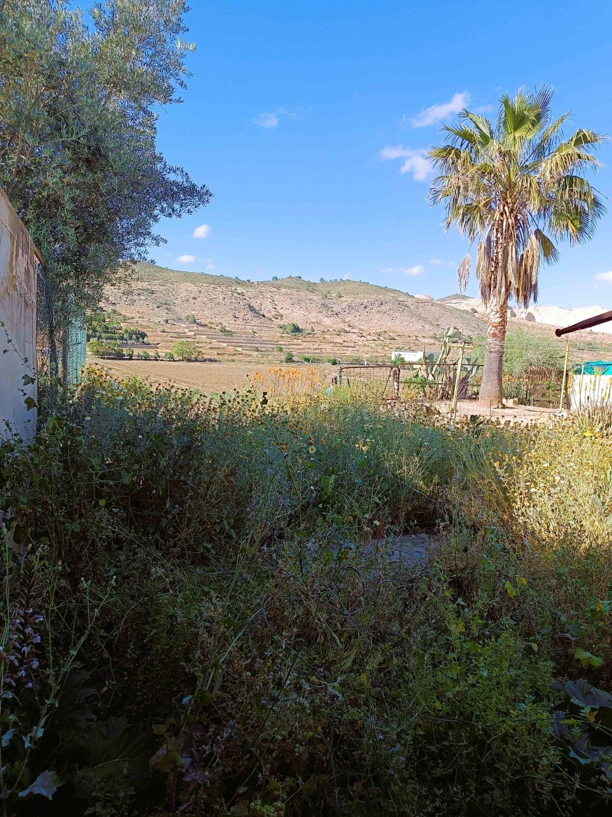 Casa Rústica con Parcela en el Hondón de las Nieves - foto 4