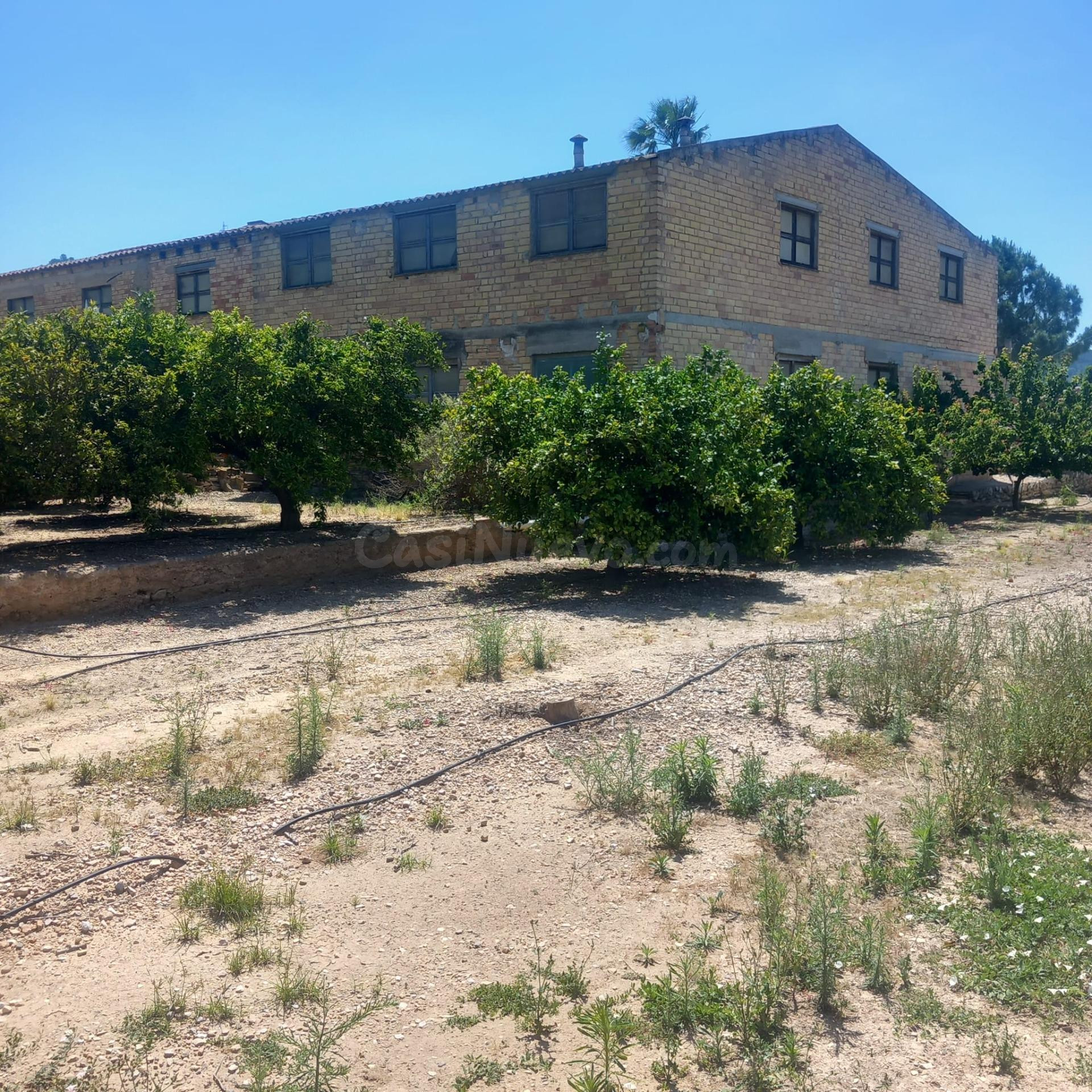 Edificio Agrícola en Venta con 10.805 m2 de Naranjos Product - foto 3