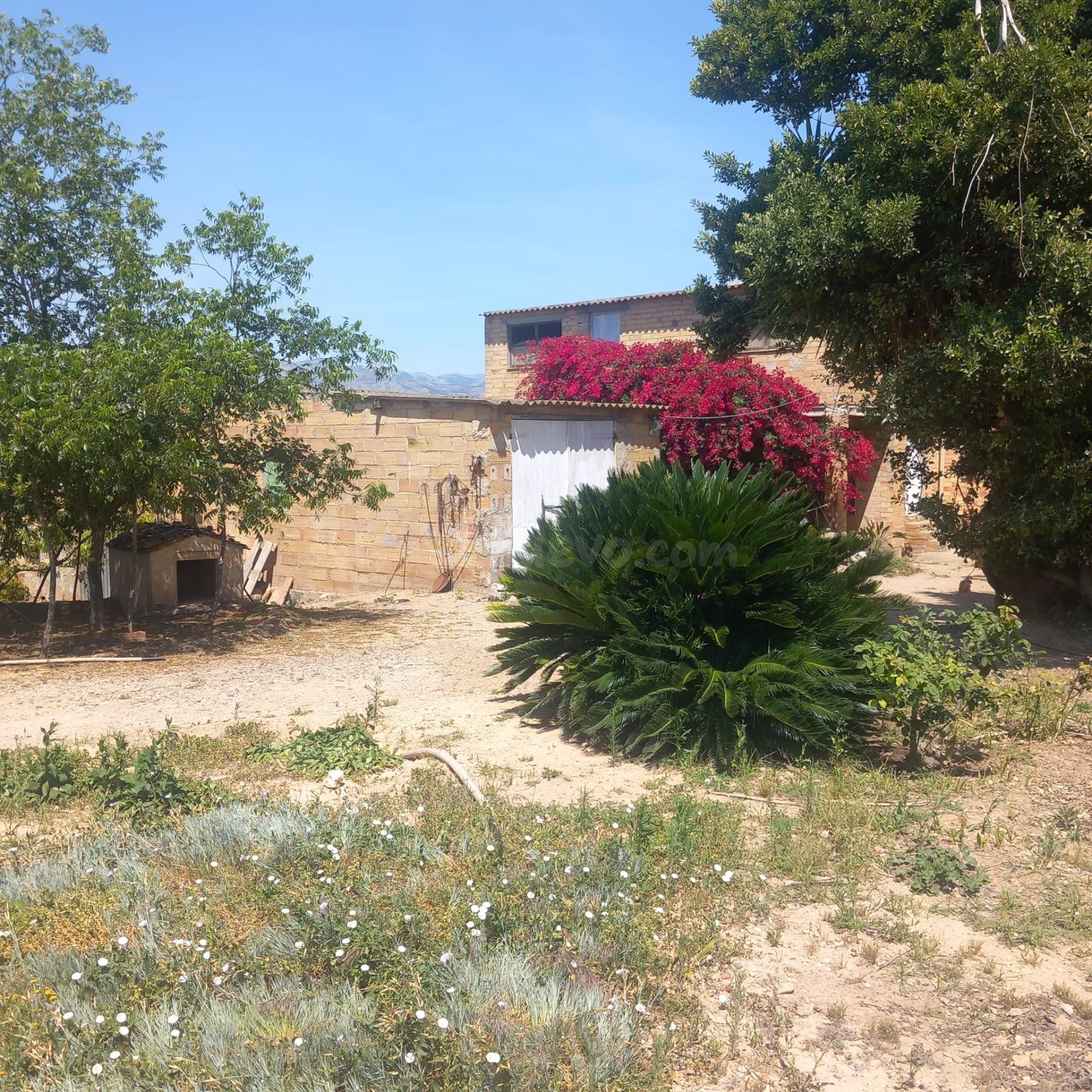 Edificio Agrícola en Venta con 10.805 m2 de Naranjos Product - foto 4