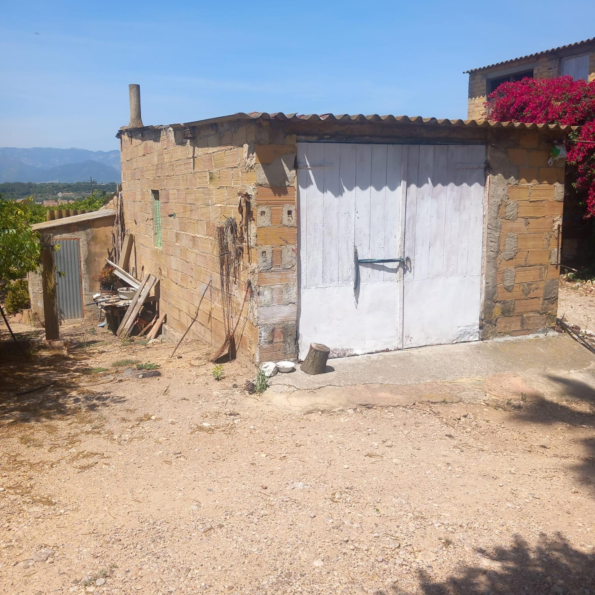 Edificio Agrícola en Venta con 10.805 m2 de Naranjos Product - foto 5