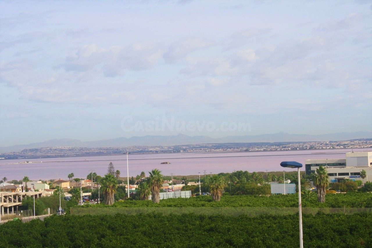 Chalet independiente con parcela, garaje y apartamento indep - foto 4