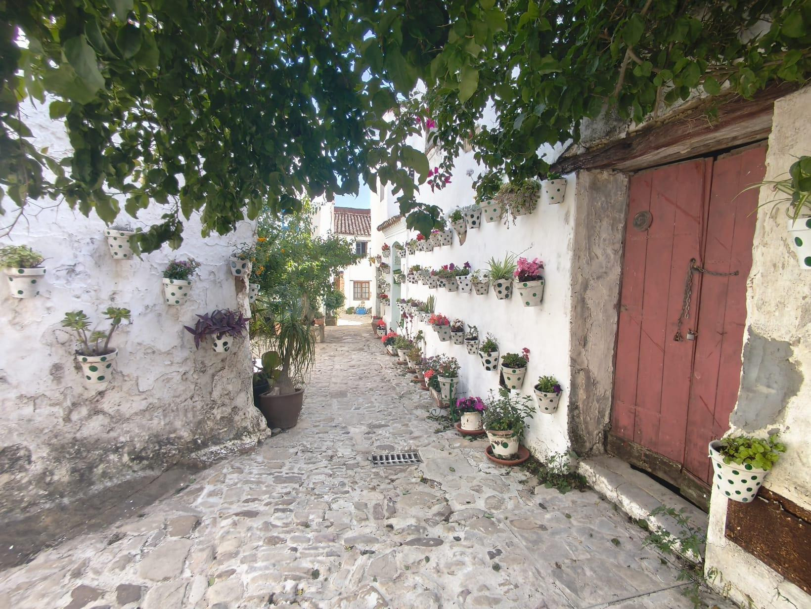 ¡CASA PARA DERRIBAR EN EL CENTRO CASTELLAR! - foto 3