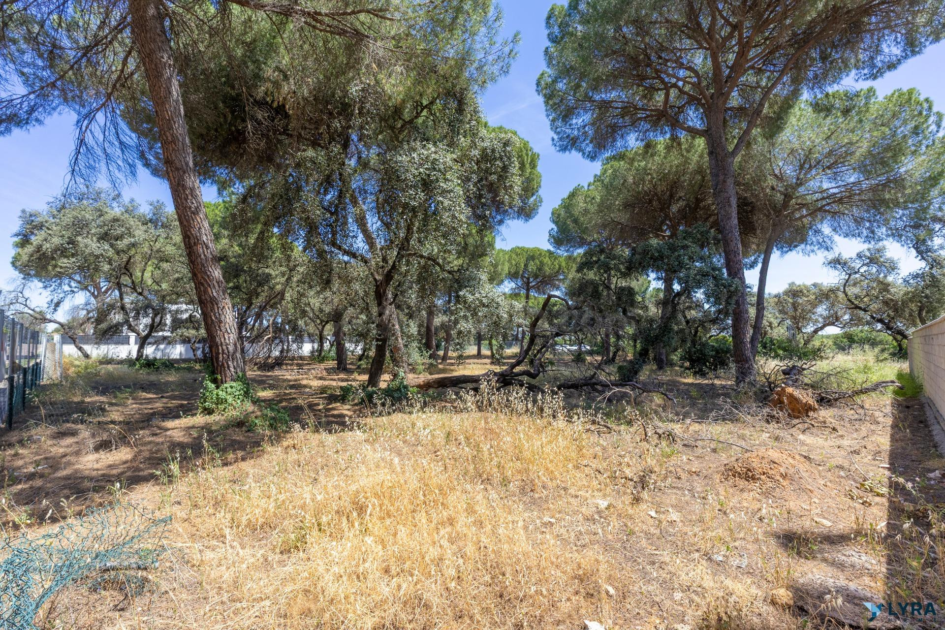 Parcela urbana en La Juliana | Entorno exclusivo y rodeado d - foto 5