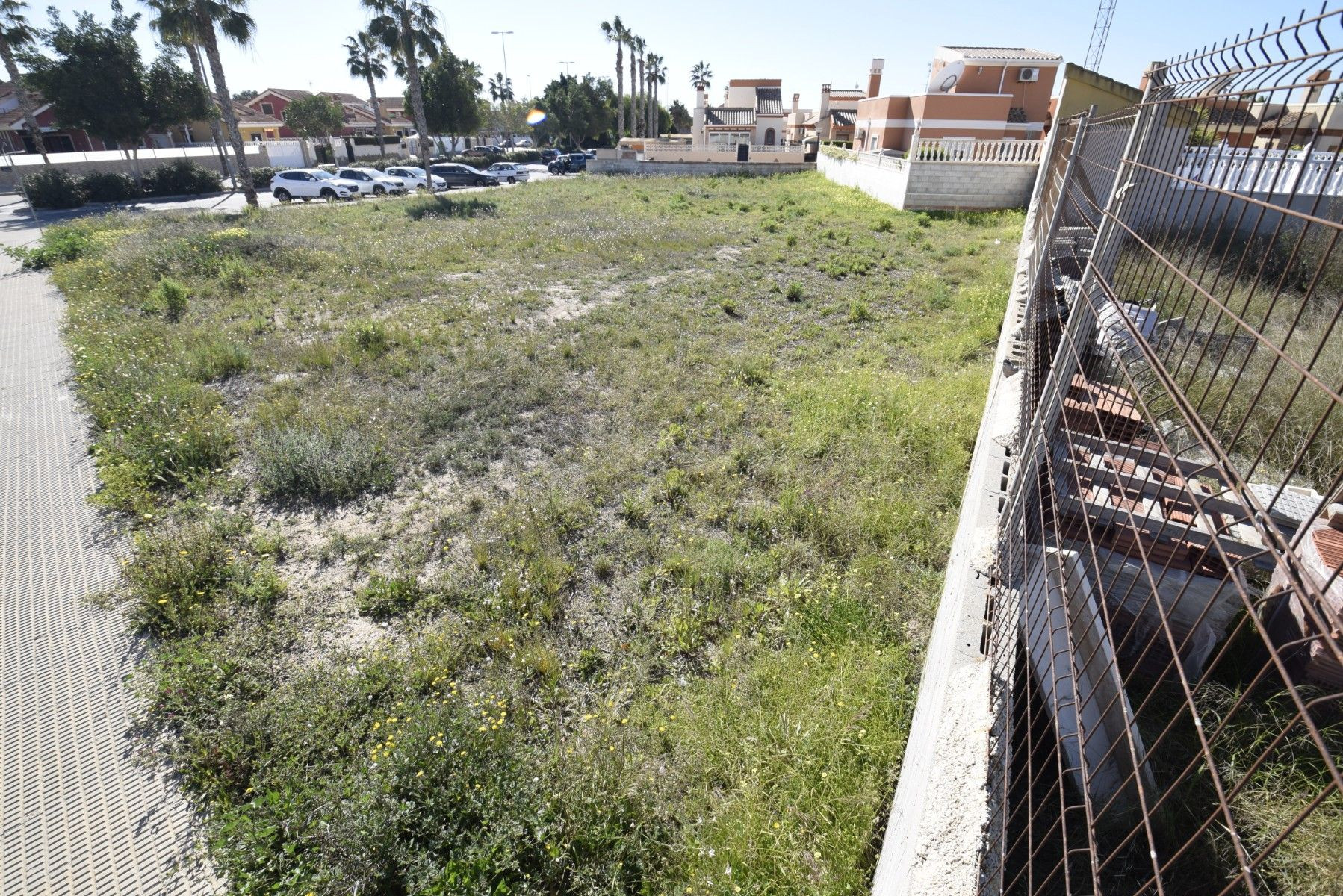 Parcela 1000m² en venta - EL RASO - foto 2