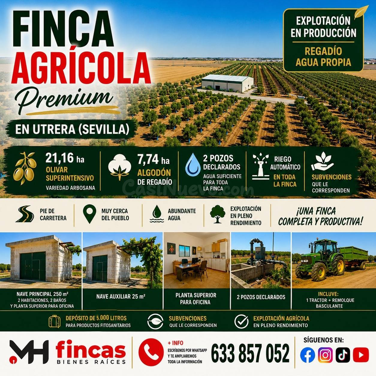FINCA AGRÍCOLA PREMIUM EN UTRERA (SEVILLA) 29,27 HECTÁREAS DE REGADÍO | OLIVAR SUPERINTENSIVO | ALGODÓN | POZOS PROPIOS | NAVE | MAQUINARIA