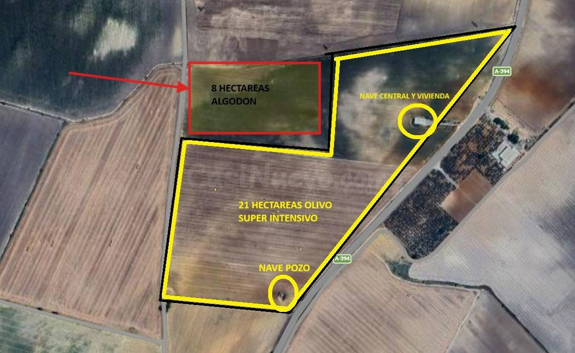FINCA AGRÍCOLA PREMIUM EN UTRERA (SEVILLA) 29,27 HECTÁREAS D - foto 3