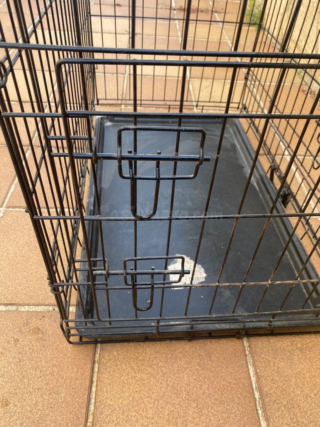 Jaula plegable para perro con asa, fácil transporte – Malgrat de Mar - foto 4