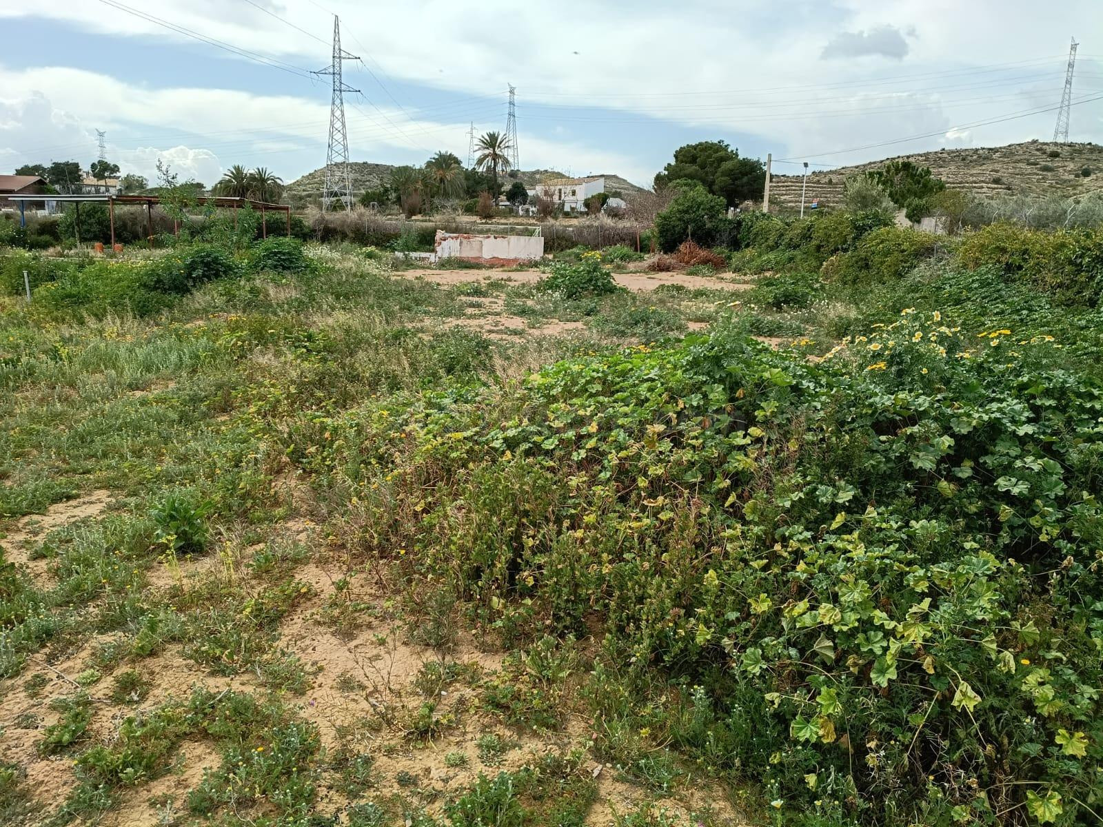 TERRENO RURAL EN SANTA ANA CON AGUA POTABLE. - foto 3