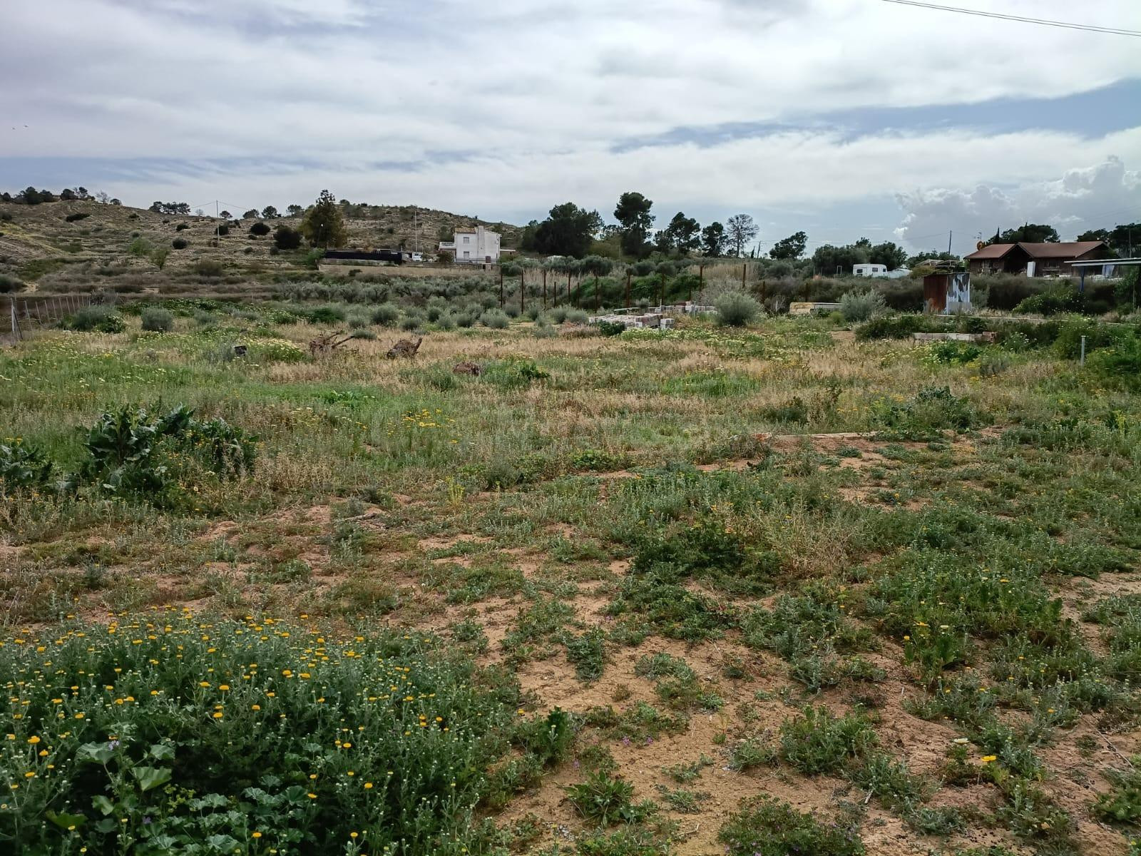 TERRENO RURAL EN SANTA ANA CON AGUA POTABLE. - foto 4
