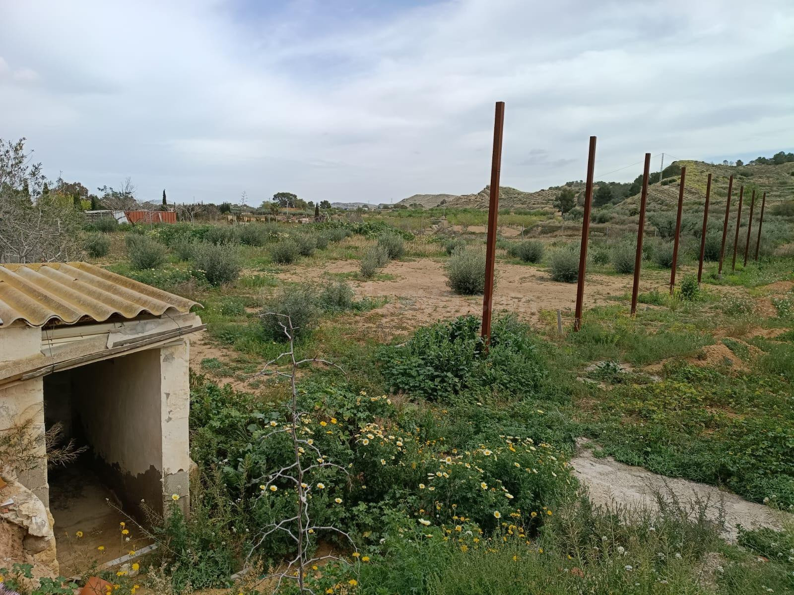 TERRENO RURAL EN SANTA ANA CON AGUA POTABLE. - foto 5