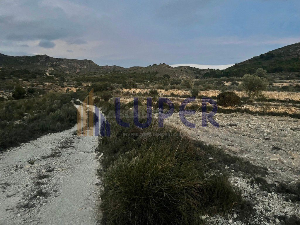 Finca Rústica en Agost 12.680m2 en el Ventor. - foto 2