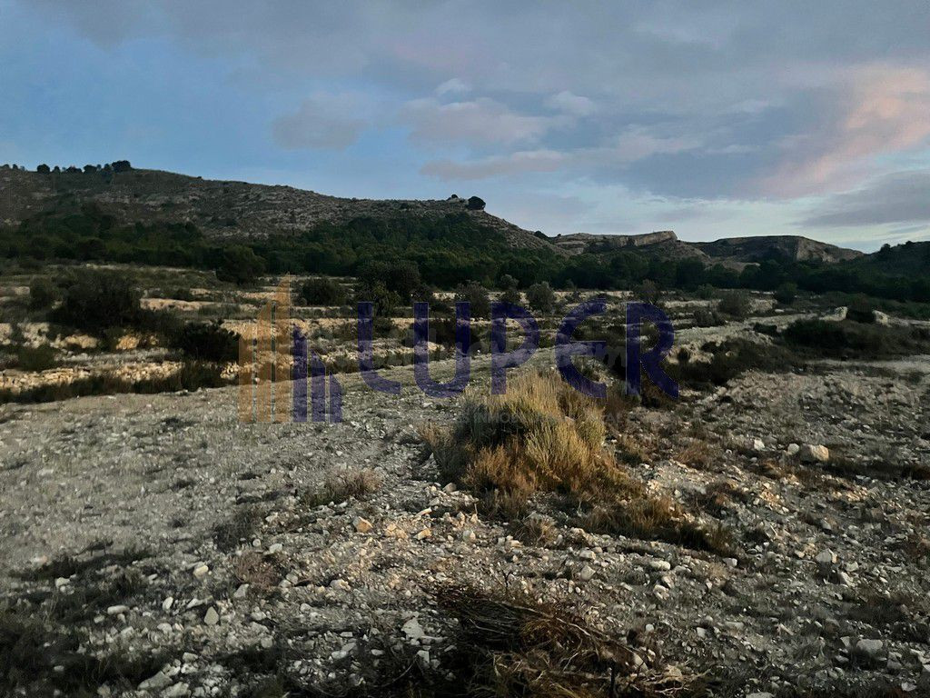 Finca Rústica en Agost 12.680m2 en el Ventor. - foto 3