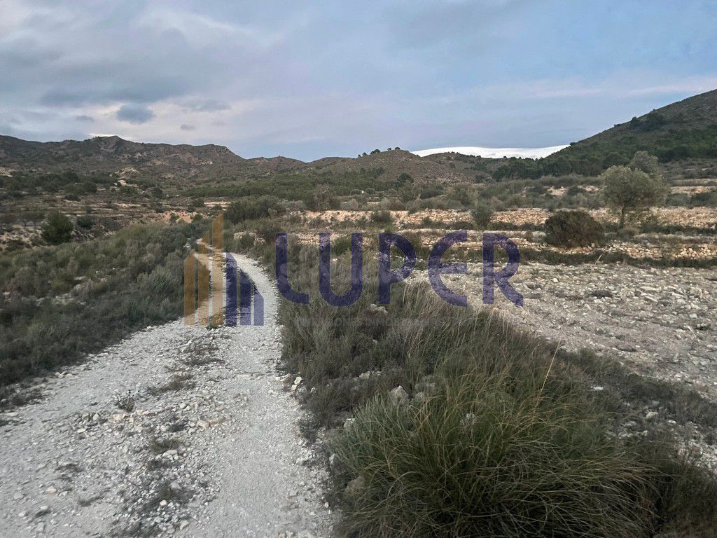 Finca Rústica en Agost 12.680m2 en el Ventor. - foto 4