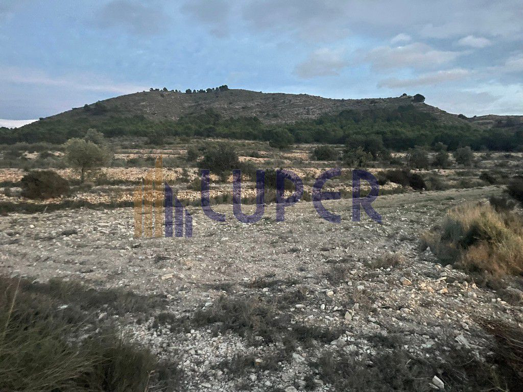 Finca Rústica en Agost 12.680m2 en el Ventor. - foto 5