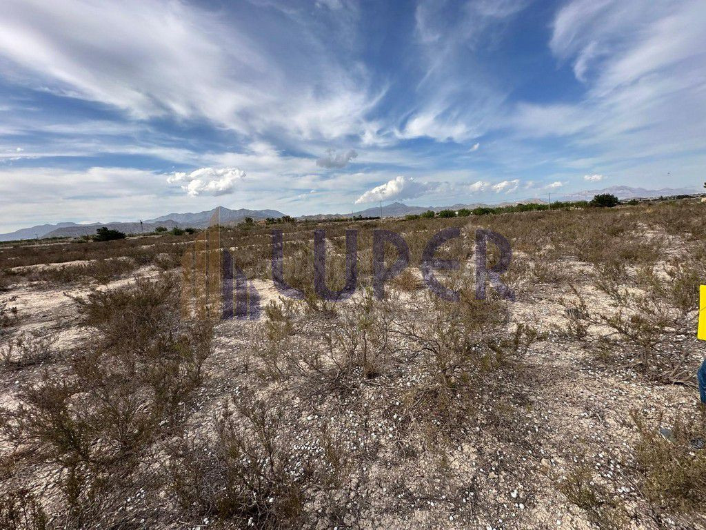 FINCA RUSTICA EN VERDEGAS AGOST 14.971 EN EL CAMPET - foto 2