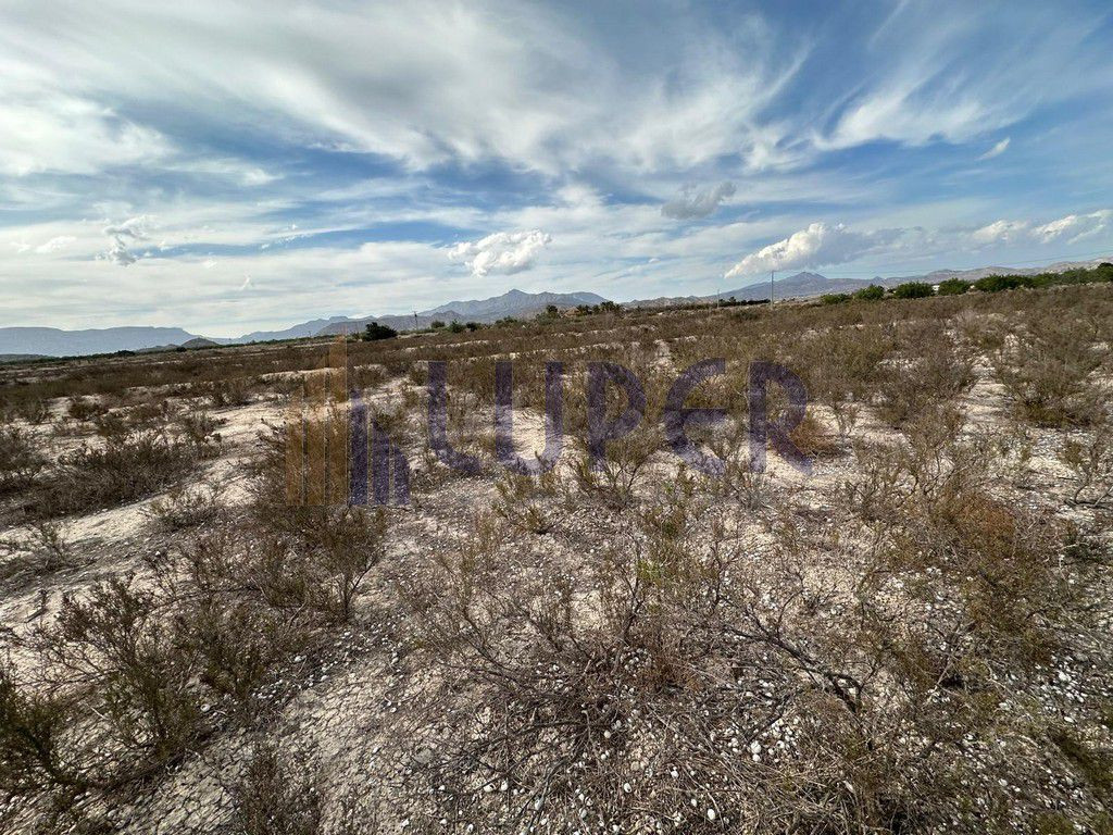 FINCA RUSTICA EN VERDEGAS AGOST 14.971 EN EL CAMPET - foto 3