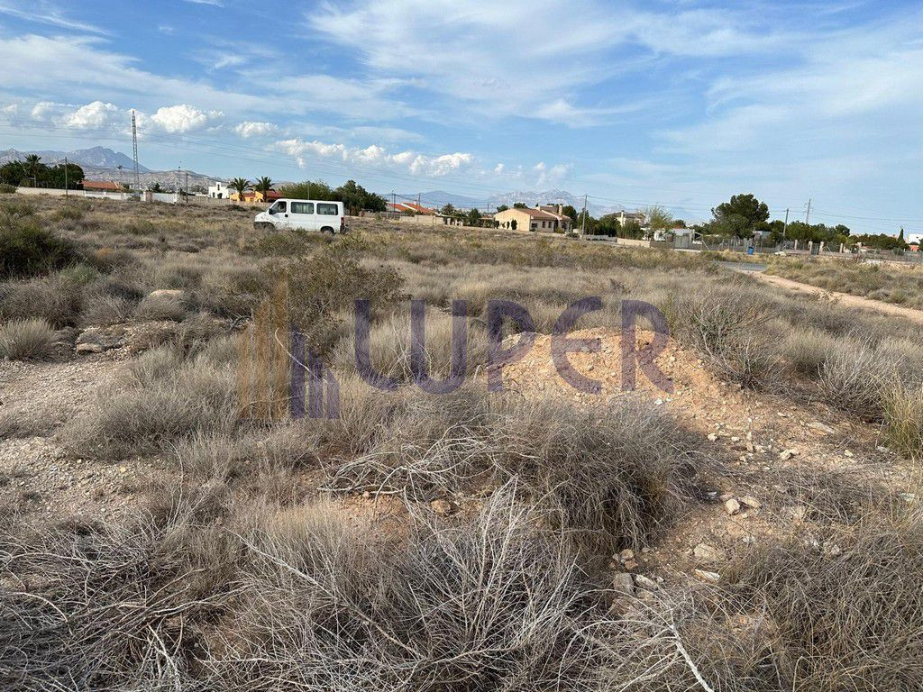 FINCA RUSTICA EN VERDEGAS AGOST 14.971 EN EL CAMPET - foto 4