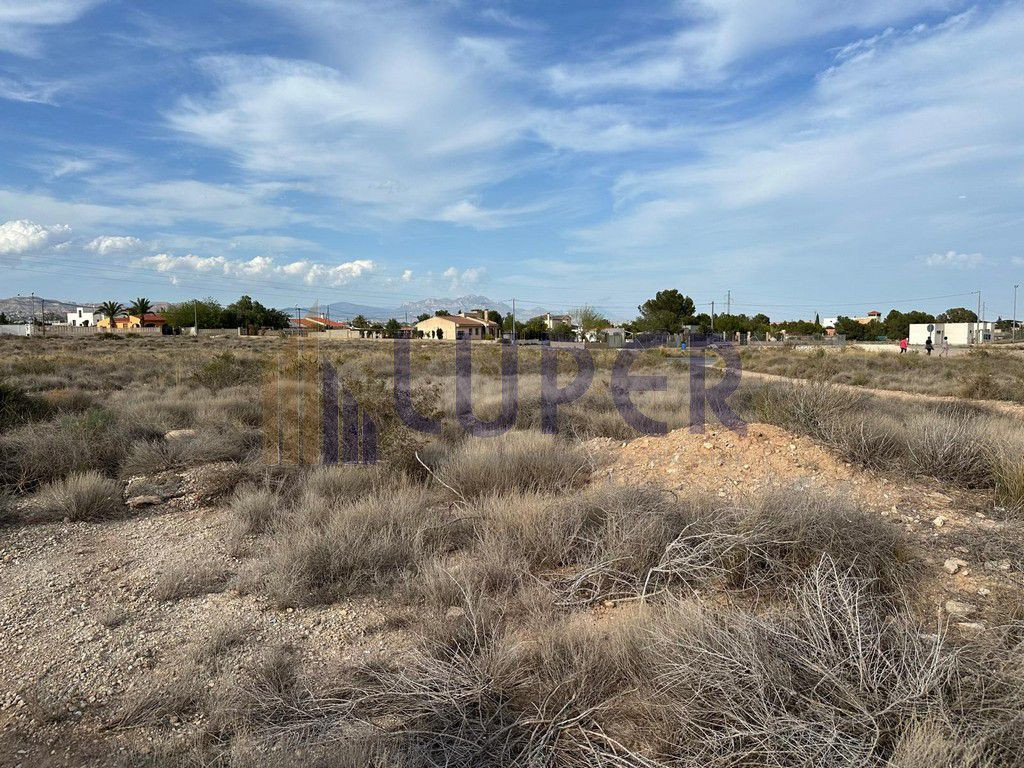 FINCA RUSTICA EN VERDEGAS AGOST 14.971 EN EL CAMPET - foto 5