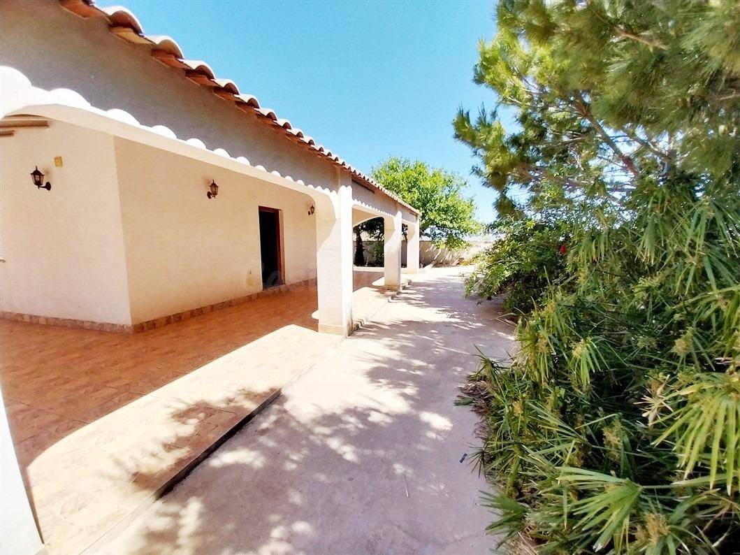 Amplia casa de campo en medio de un huerto de mandarinas. - foto 4
