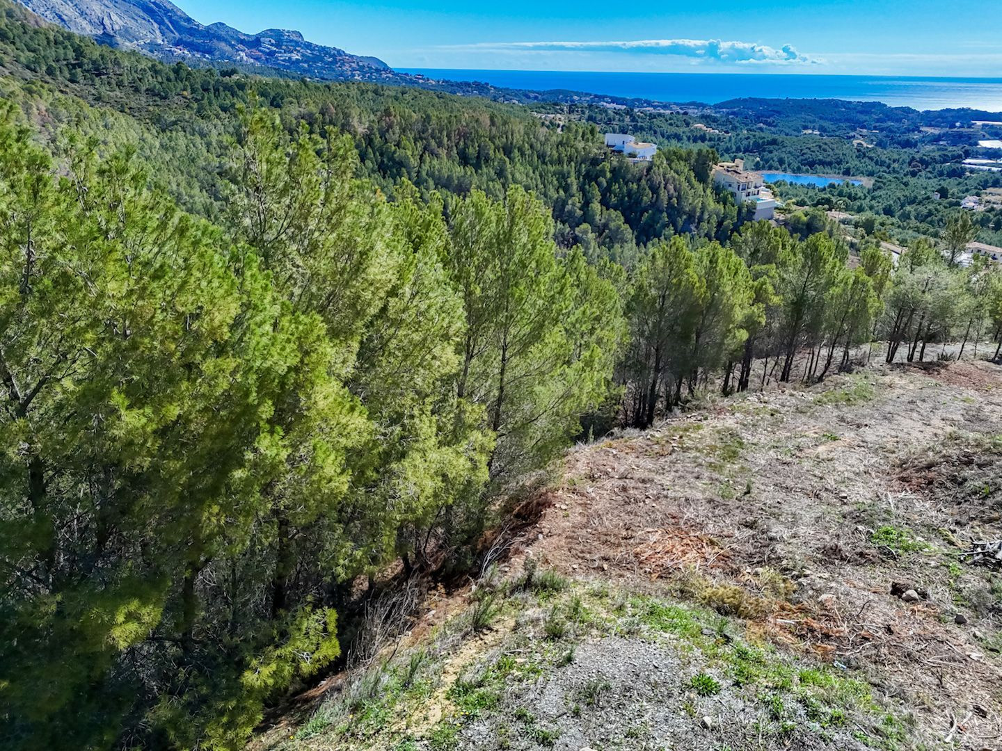 Parcela en venta - Casco Antiguo - foto 4