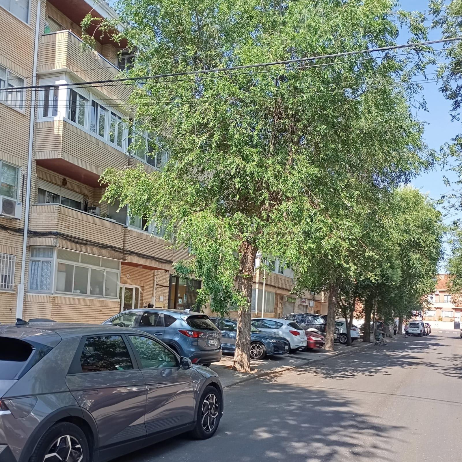 🌳 Entre árboles y tranquilidad, un hogar que lo tien todo en - foto 4