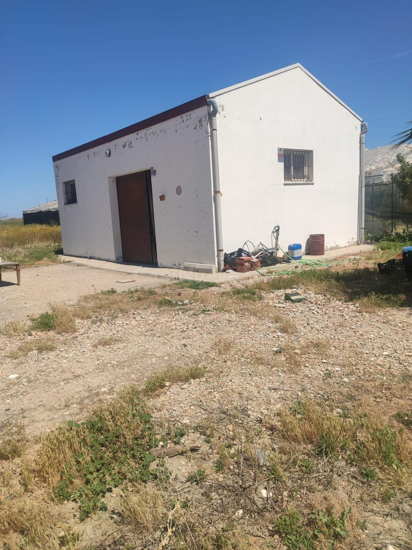 FINCA RÚSTICA EN ROTA- ZONA "EL BERCIAL" - foto 2
