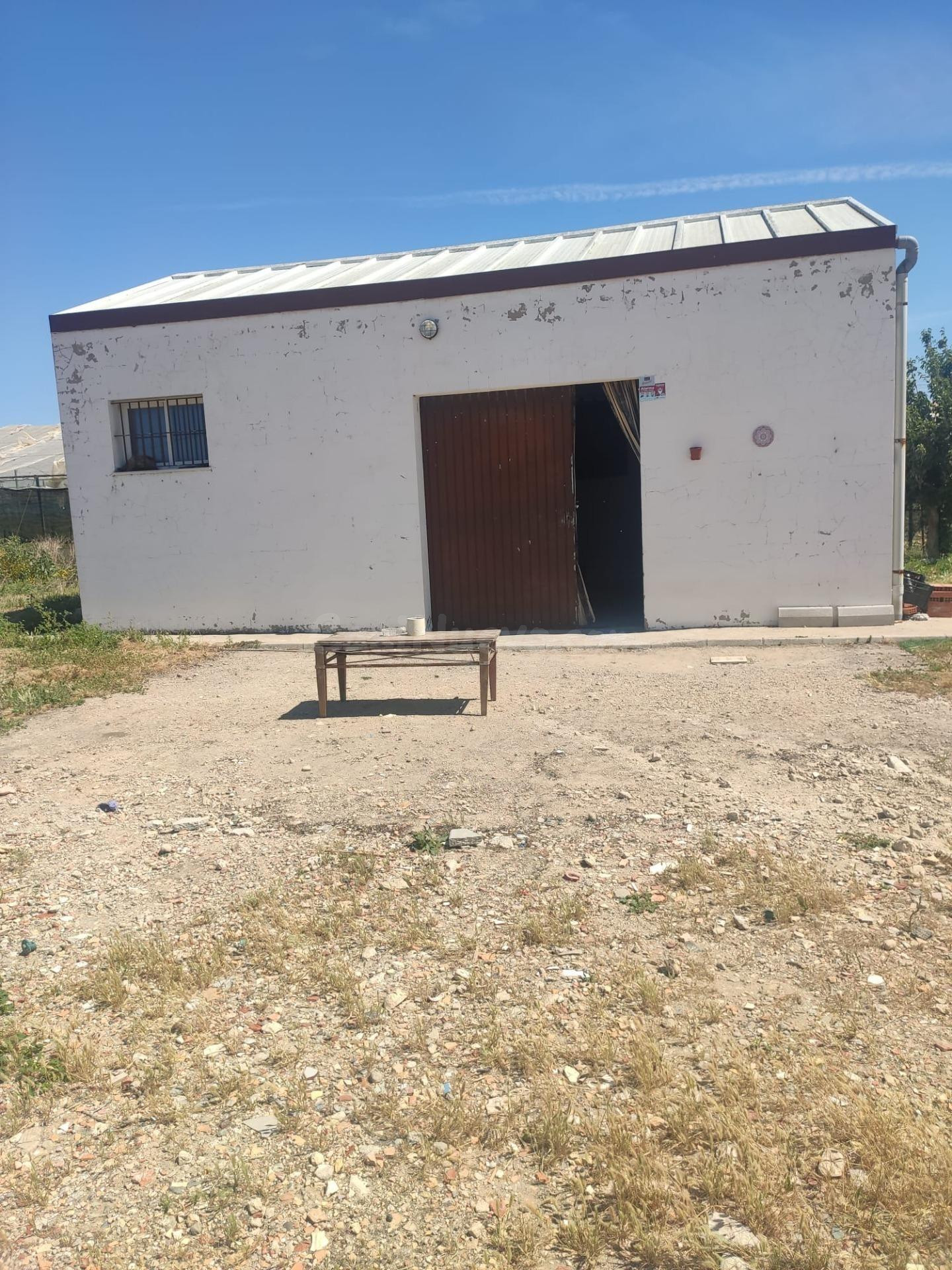 FINCA RÚSTICA EN ROTA- ZONA "EL BERCIAL" - foto 3